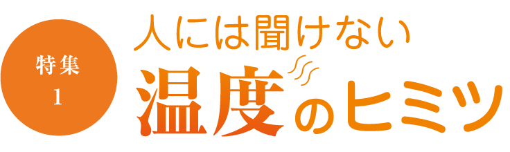 ［特集1］ 人には聞けない温度のヒミツ